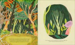 Il Piccolo Albero e la Vita nel Bosco — Libro - 3