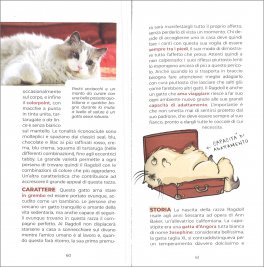 Il Piccolo Grande Libro dei Gatti — Libro - 3