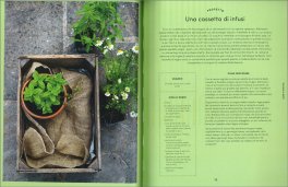 Il Piccolo Orto in Casa — Libro - 4