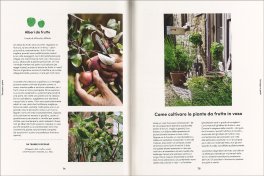 Il Piccolo Orto in Casa — Libro - 3