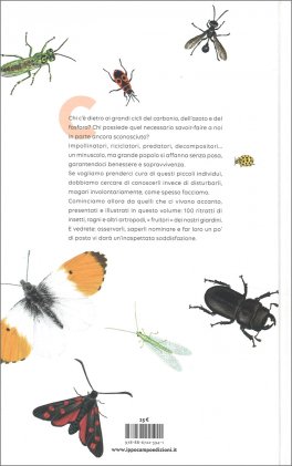 Il Piccolo Popolo del Giardino — Libro - 2