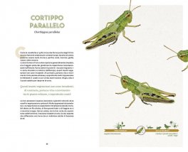 Il Piccolo Popolo del Giardino — Libro - 5