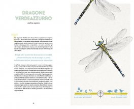 Il Piccolo Popolo del Giardino — Libro - 4
