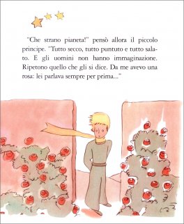 Il Piccolo Principe — Libro - 3