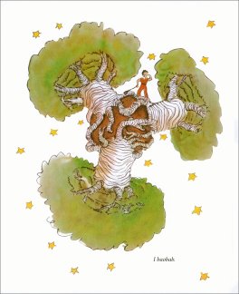 Il Piccolo Principe — Libro - 2