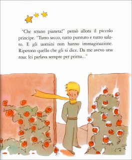 Il Piccolo Principe — Libro - 3