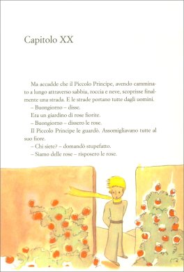 Il Piccolo Principe — Libro - 3