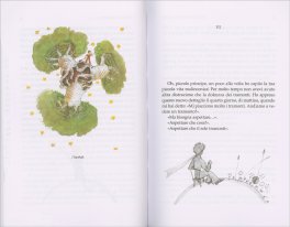 Il Piccolo Principe — Libro - 3