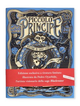 Il Piccolo Principe — Libro - 1