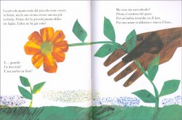 Il Piccolo Seme — Libro - 3
