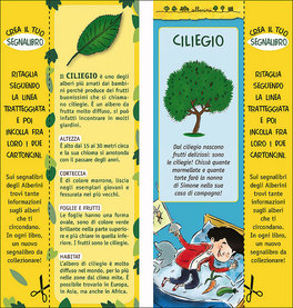 Il Piccolo Sognatore  — Libro - 2