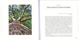 Il Potere della Musica delle Piante — Libro - 4
