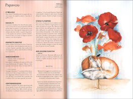 Il Potere delle Piante — Libro - 3