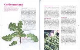Il Prato è in Tavola — Libro - 3