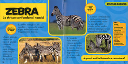 Il Primo Grande Libro degli Animali — Libro - 3