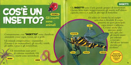 Il Primo Grande Libro degli Insetti — Libro - 3