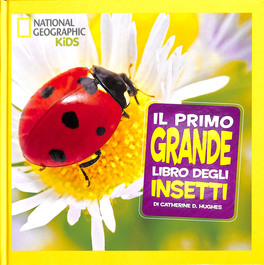 Il Primo Grande Libro degli Insetti — Libro - 1