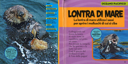 Il Primo Grande Libro degli Oceani — Libro - 3
