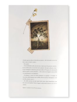 Il Profumo della Grande Estate — Libro - 5
