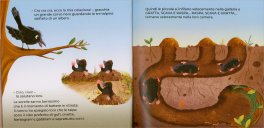 Il Punto di Domanda delle Talpe — Libro - 3