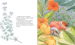 Il Re Piccolino  - 4