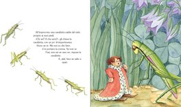 Il Re Piccolino  - 5