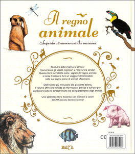 Il Regno Animale — Libro - 2