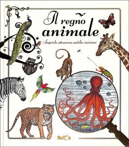 Il Regno Animale — Libro - 1