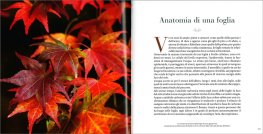 Il Respiro degli Alberi — Libro - 3