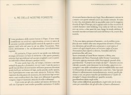 Il Respiro dei Boschi — Libro - 3