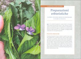 Il Ricettario Erboristico Moderno — Libro - 3