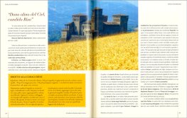 Il Riso, il Mais e gli Altri Cereali — Libro - 4