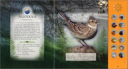 Il Risveglio del Bosco — Libro - 3