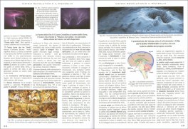 Il Risveglio e la Rivelazione dell’Intelligenza Organica — Libro - 2