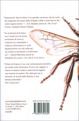 Il Ritorno della Regina — Libro - 2