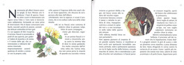 Il Segreto del Codirosso — Libro - 3