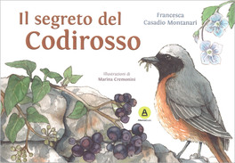 Il Segreto del Codirosso — Libro - 1