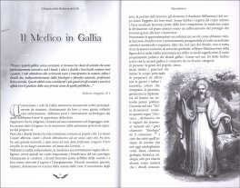 Il Segreto della Medicina dei Celti — Libro - 3