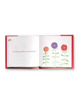 Il Seme Magico — Libro - 4