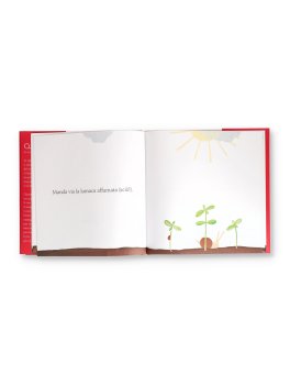 Il Seme Magico — Libro - 3