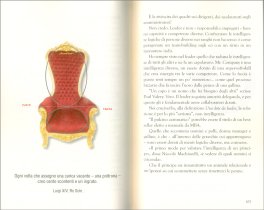 Il Successo della Scimmia — Libro - 3