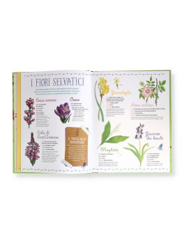 Il Super Libro della Natura — Libro - 2