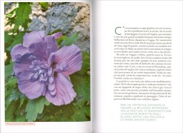 Il Tempo del Giardino — Libro - 3