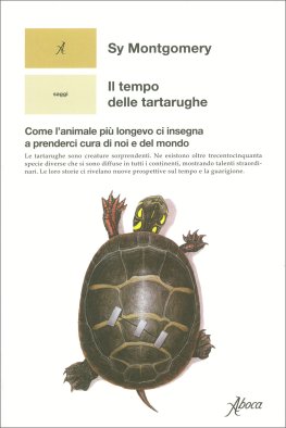 Il Tempo delle Tartarughe — Libro - 1