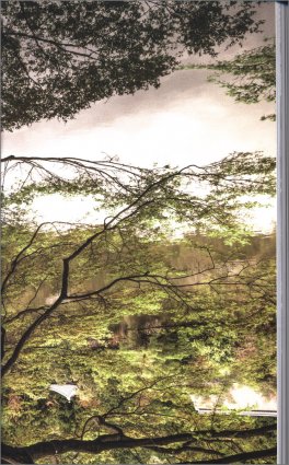 Il Testimone — Libro - 3