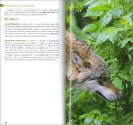 Il Trekking del Lupo — Libro - 3