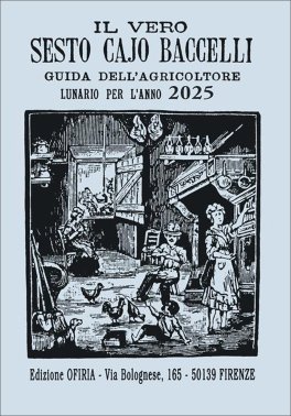 Il Vero Sesto Cajo Baccelli — Libro - 1