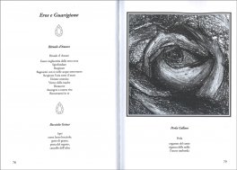 Il Viaggio della Maddalena — Libro - 3