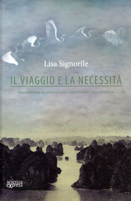 Il Viaggio e la Necessità  — Libro - 1