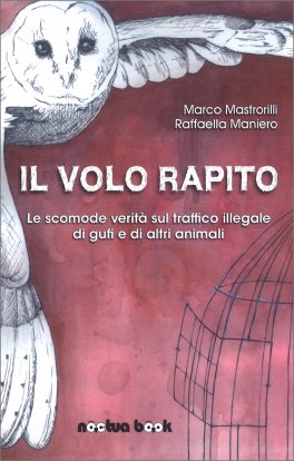 Il Volo Rapito